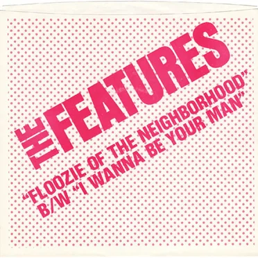 Floozie of the Neighborhood by The Features - album cover