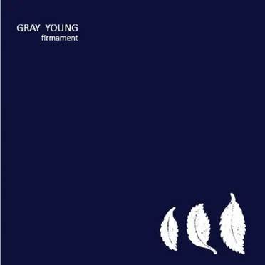 Firmament by Gray Young - album cover