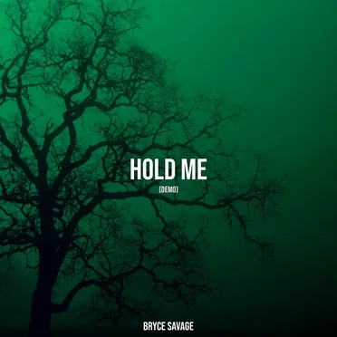 Hold Me (demo) by Bryce Savage - album cover
