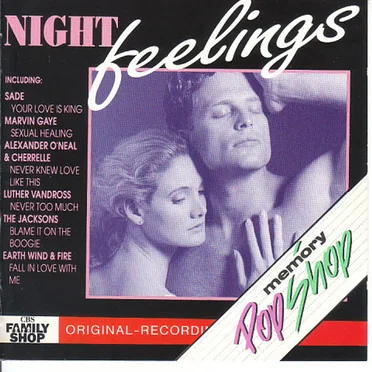 Night Feelings by Various Artists - album cover