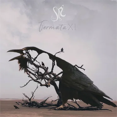 Fermata XI by Guilherme de Sá - album cover