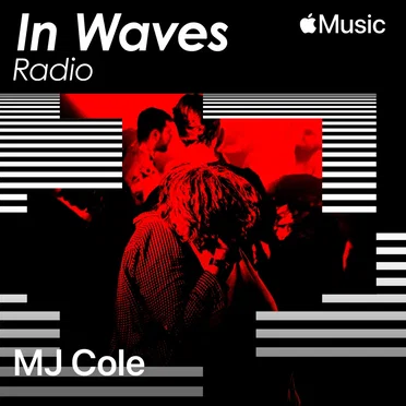 In Waves Radio Presents The Floor with MJ Cole, Ep. 8