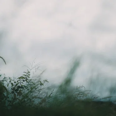 MIST
