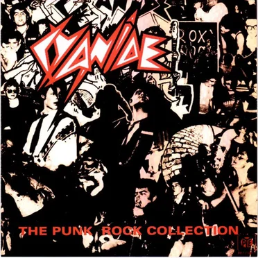 The Punk Rock Collection