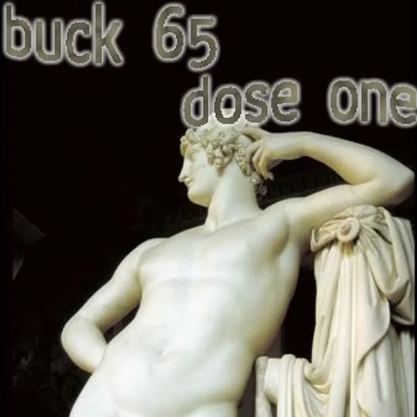 North American Adonis