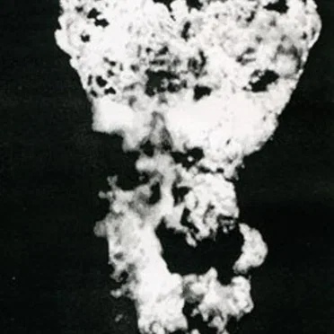 Damaged Yellow Swans