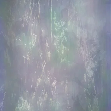 Enveloped