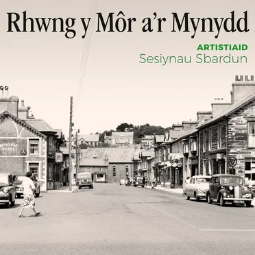 Rhwng y Môr a'r Mynydd by Various Artists - album cover