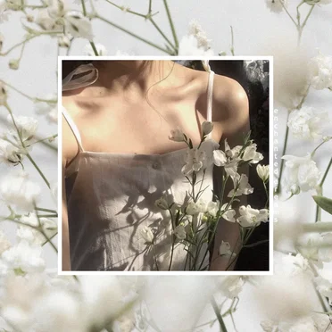 Enchanted Dreams