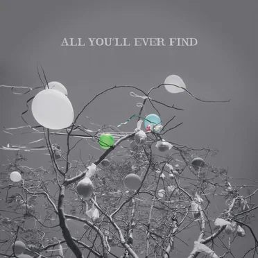 All You'll Ever Find