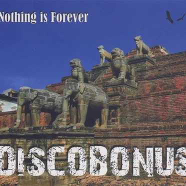 Nothing Is Forever by Discobonus - album cover