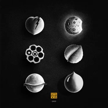 Șase (+) by Vița de Vie - album cover