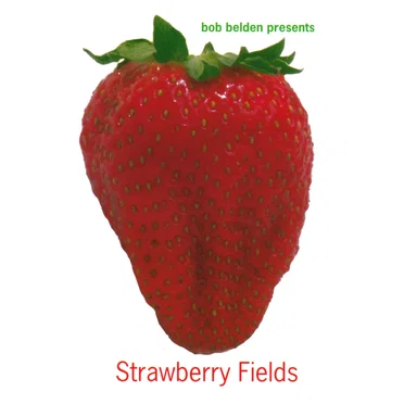 Strawberry Fields by Various Artists - album cover