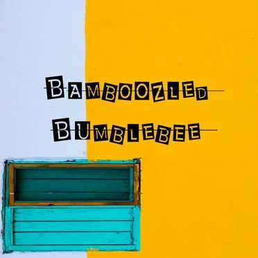 I fly by by Bamboozled Bumblebee - album cover