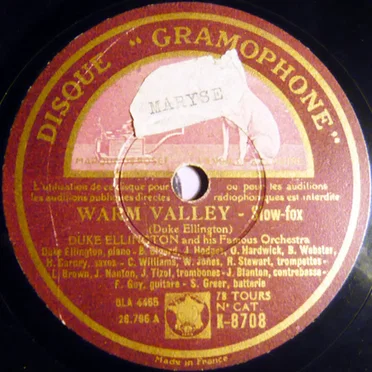 Warm Valley / In a Mellotone