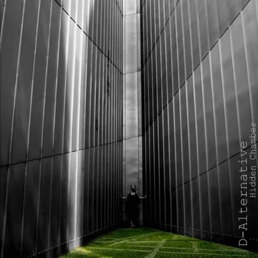 Hidden Chamber by D-Alternative - album cover