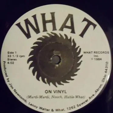 On Vinyl by What - album cover