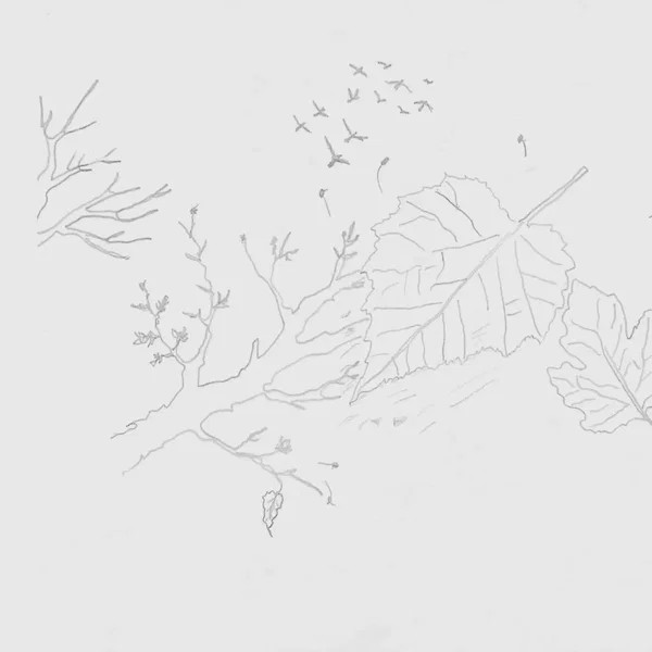 A Leaf Blew the Other Way (Instrumental)
