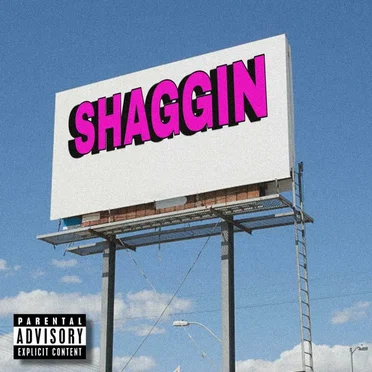 Shaggin