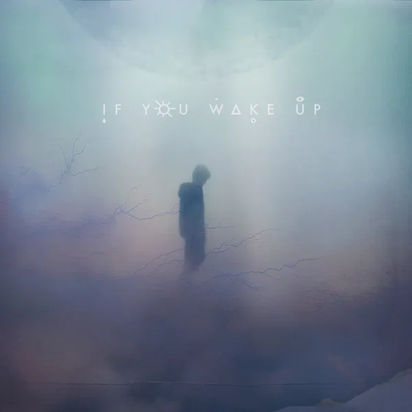 If You Wake Up