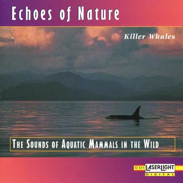 Echoes of Nature: Killer Whales