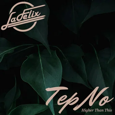 Higher Than This (La Felix Remix)