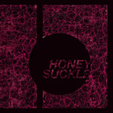Honeysuckle by Bedroom Eyes - album cover