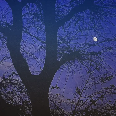The Moon Is a Harsh Mistress by mimy - album cover
