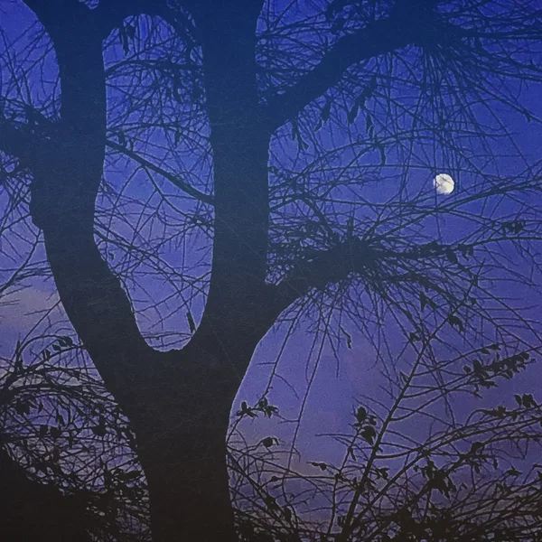 The Moon Is a Harsh Mistress