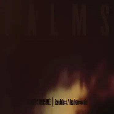 Antarctic Handshake (iconAclass / deadverse remix) by Palms - album cover