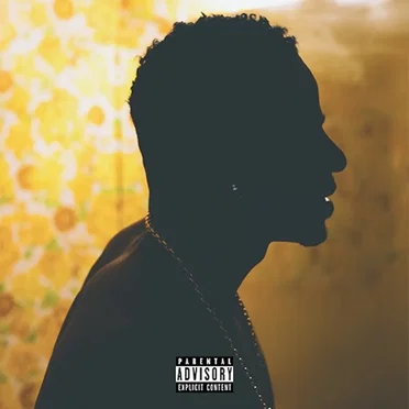 New Light (acoustics)