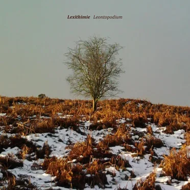 Leontopodium by Lexithimie - album cover