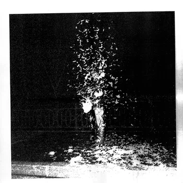 Black Light Smoke Remix EP by Black Light Smoke - album cover