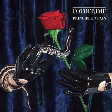 Principle of Pain by Fotocrime - album cover