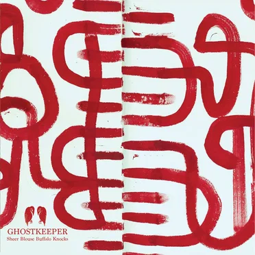 Sheer Blouse Buffalo Knocks by Ghostkeeper - album cover