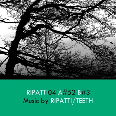 Ripatti04