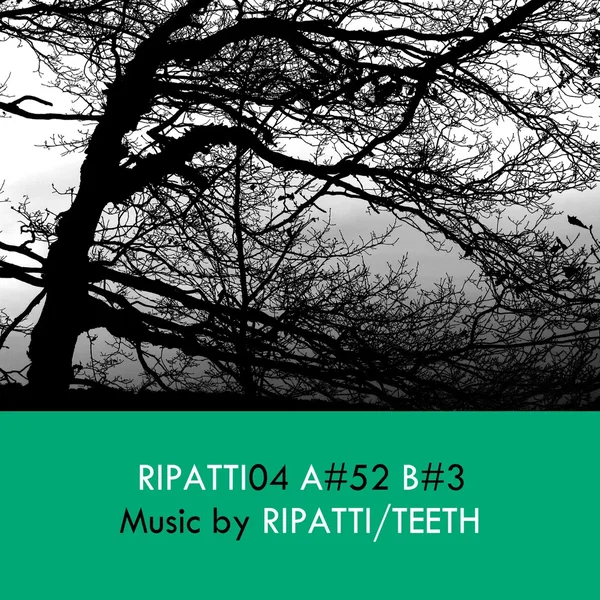 Ripatti04