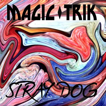 Stray Dog
