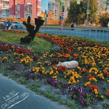 теплее