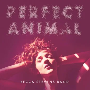 Perfect Animal by Becca Stevens Band - album cover
