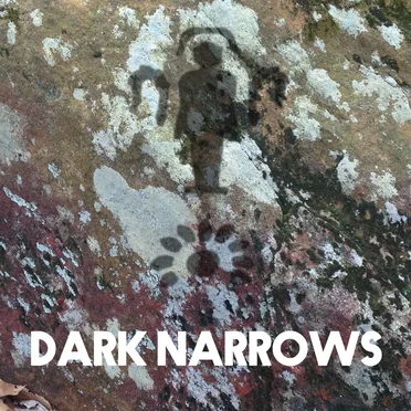 Dark Narrows by Dark Narrows - album cover