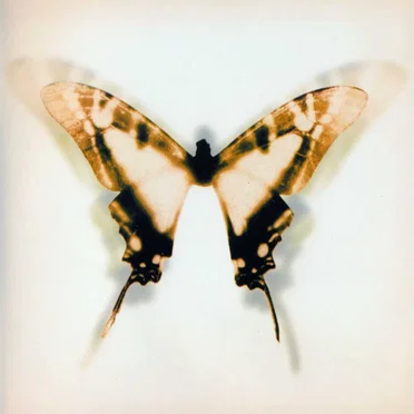 Caught Live by Barclay James Harvest - album cover