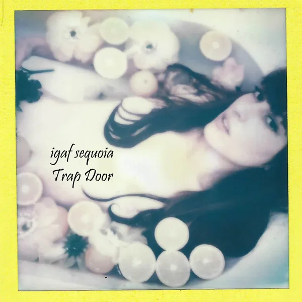 Trap Door