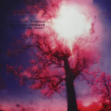 In Blind Embrace (Songs From the Shadows)