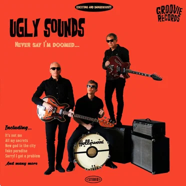 Never Say I'm Doomed... by Ugly Sounds - album cover