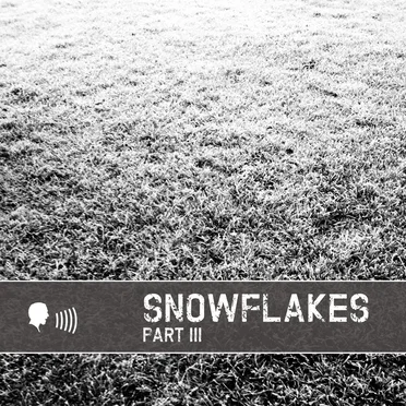 Snowflakes III by Various Artists - album cover