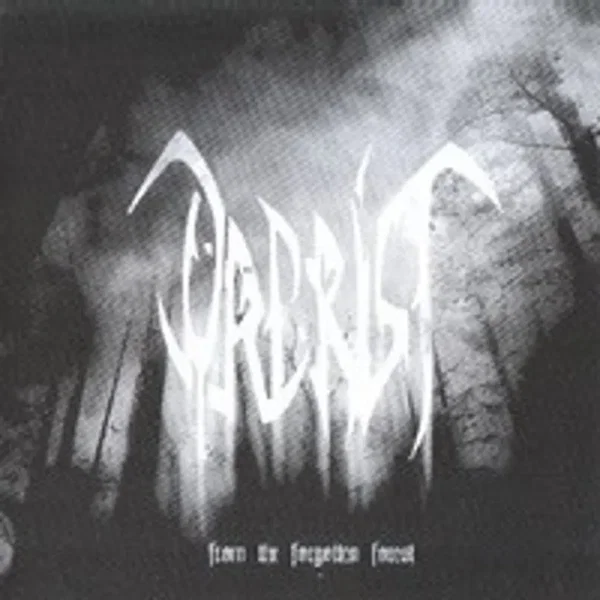 From the Forgotten Forest