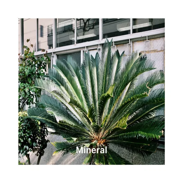 Mineral