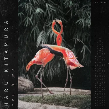 You & Me by Haru Kitamura - album cover