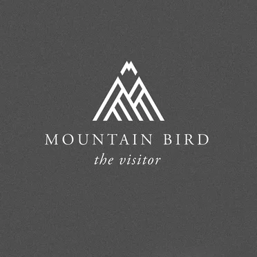 The Visitor